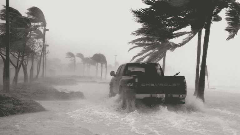 A black Chevrolet pickup truck drives through flooded streets during a powerful summer storm in Florida, with palm trees bending in strong winds.
