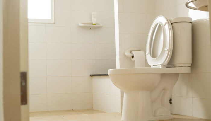 Toilet Repair San Antonio  Toilet Unclogging Service